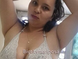 Bigtitsmariposa