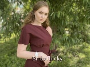 Birdoflucky