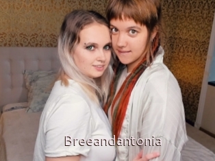 Breeandantonia