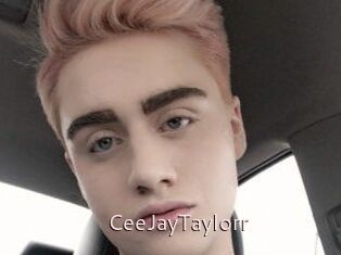 CeeJayTaylorr