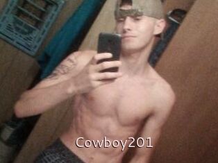 Cowboy201