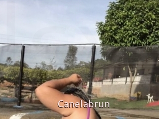 Canelabrun