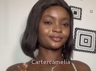 Cartercamelia