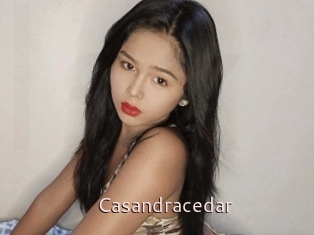 Casandracedar