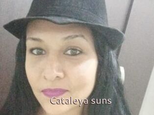 Cataleya_suns