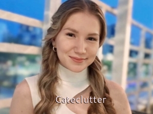 Cateclutter