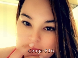 Cougar816