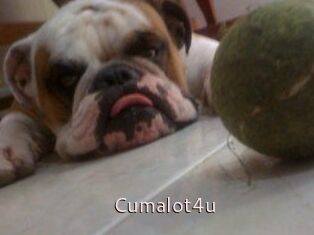 Cumalot4u