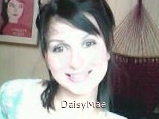 Daisy_Mae