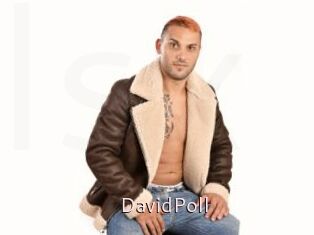DavidPoll