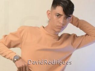 DavidRodrigues