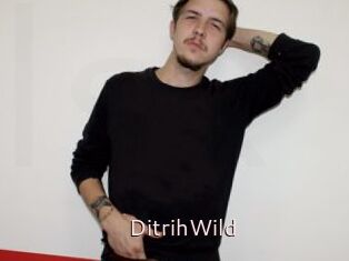 DitrihWild