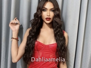 Dahliaamelia