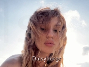 Daisyburge