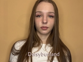 Daisyburland