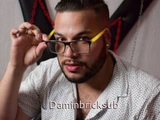 Daminbricksub