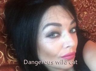 Dangerous_wild_cat
