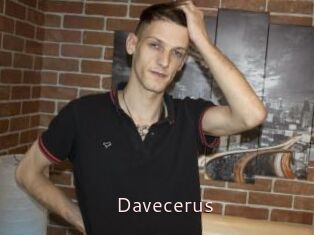 Davecerus