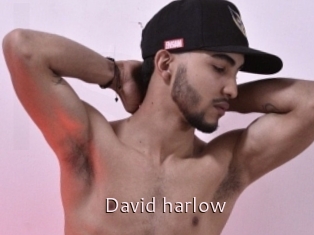 David_harlow