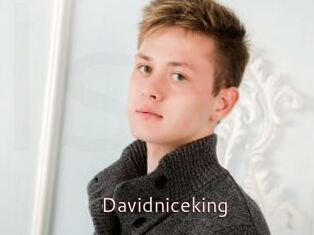 Davidniceking
