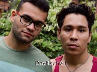 Davitschell
