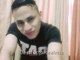Destructordealmas