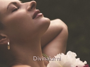 Divinakarni