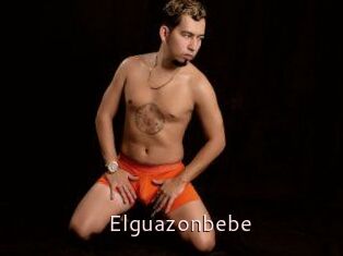 Elguazonbebe