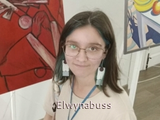 Elwynabuss