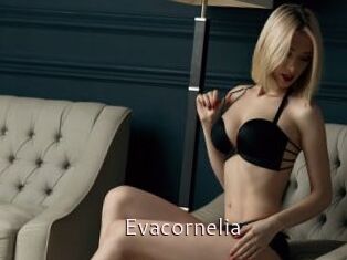 Evacornelia