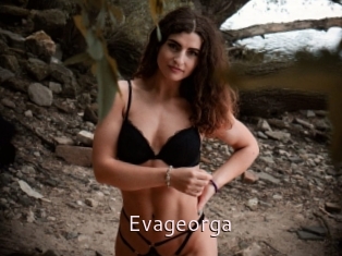 Evageorga