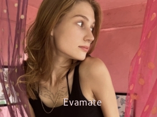 Evamate