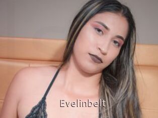 Evelinbelt