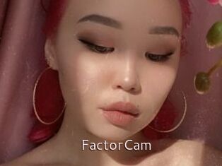FactorCam