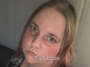Falbkatze
