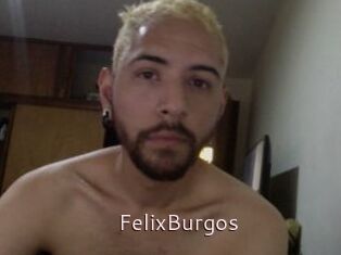 FelixBurgos