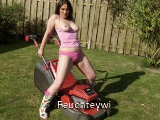 Feuchteywi