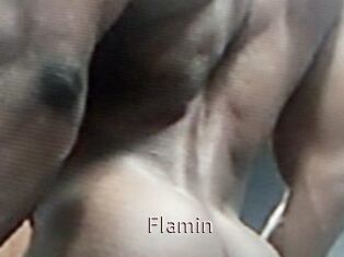 Flamin