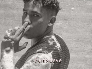 Fenixdeve