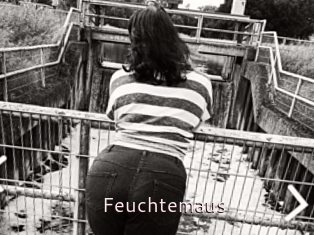 Feuchtemaus