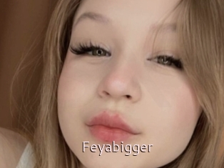 Feyabigger