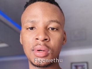 Figowethu
