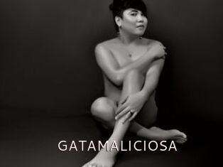 GATAMALICIOSA