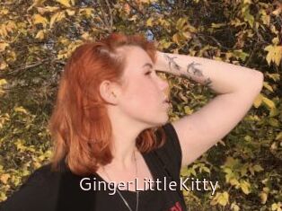 GingerLittleKitty