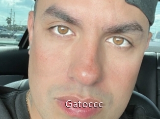 Gatoccc