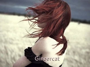 Gingercat