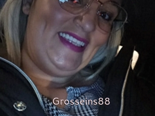 Grosseins88
