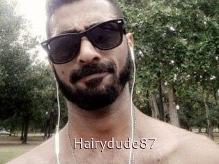 Hairydude87