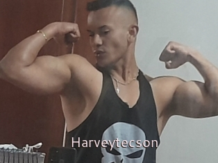Harveytecson