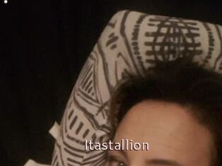 Itastallion